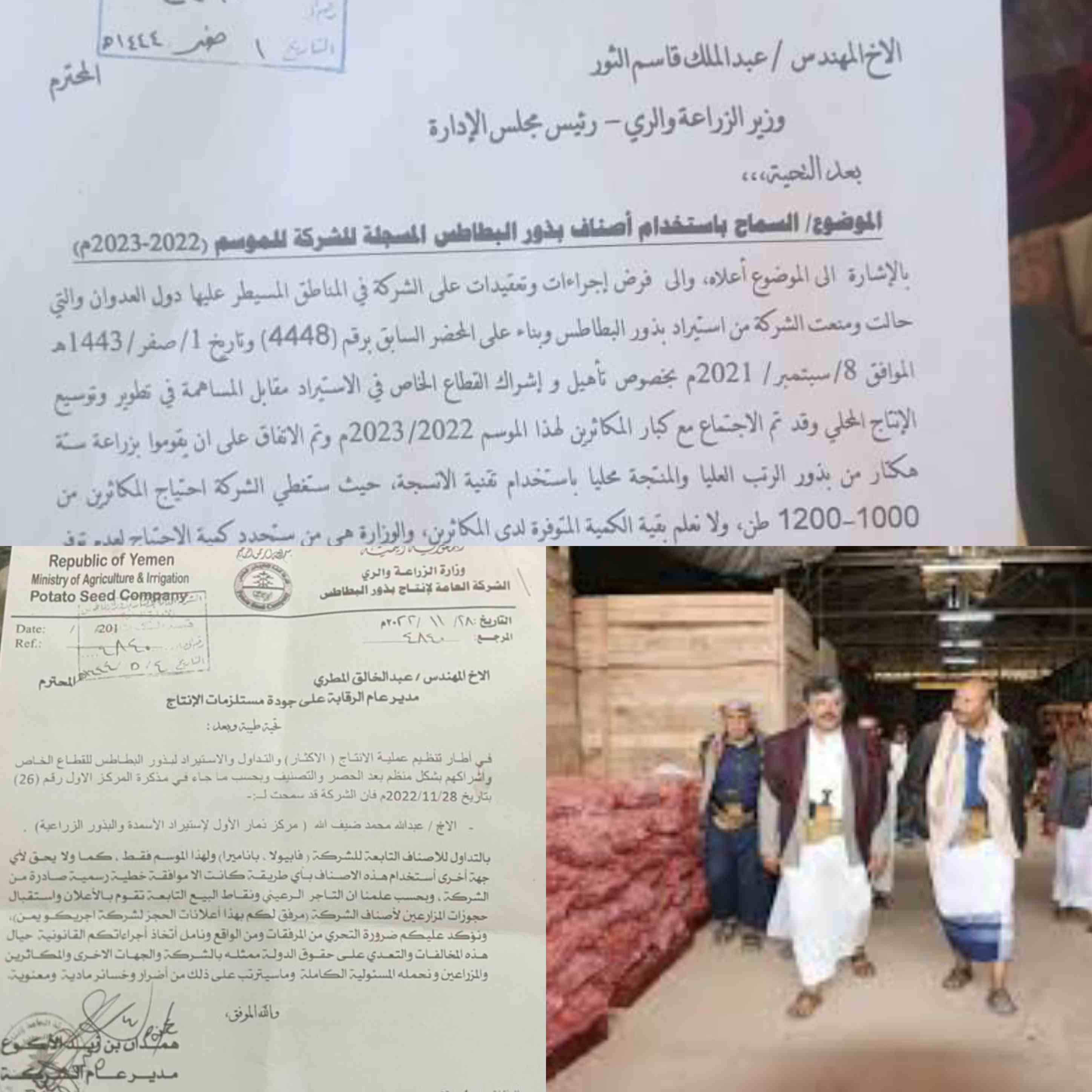 وثائق قيادي حوثي يصغط على الزراعة منح ترخيص استيراد بذور البطاطا من شركة مجهولة واخرى في القائمة السوداء أمن الغذاء اليمني في خطر